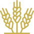 agro1